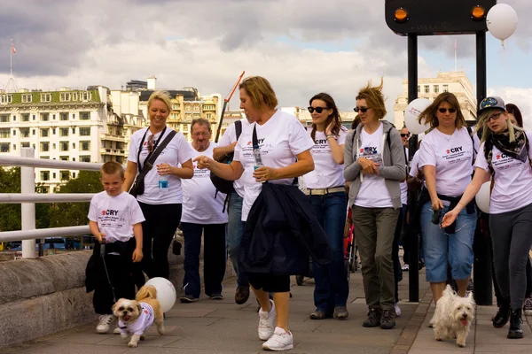 stock image Heart of London Bridges Walk