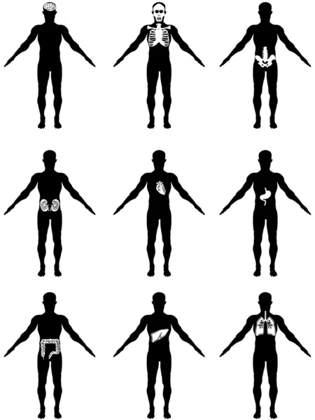Órgãos humanos em ícones do corpo — Vetor de Stock