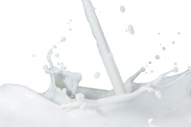 Milk splash clipart