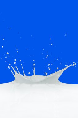 Milk splash clipart