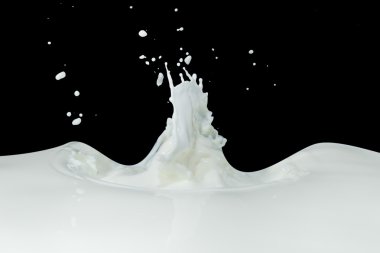 Milk splash clipart