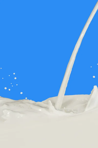 दूध स्प्लैश — स्टॉक फ़ोटो, इमेज
