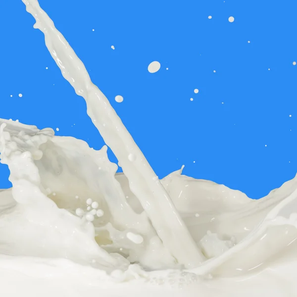 stock image Milk splash