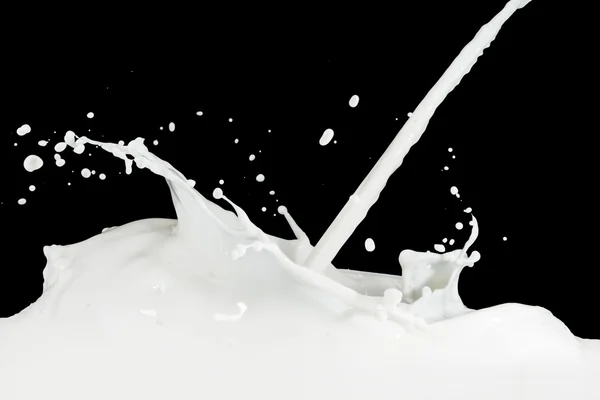 Éclaboussure de lait — Photo