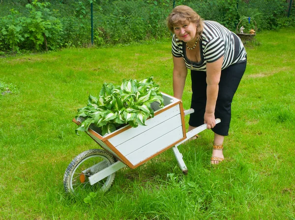 Donna matura che lavora in giardino — Foto Stock