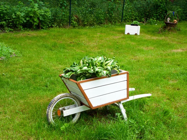 stock image A wooden wheelbarrow