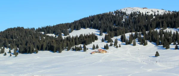 Jura mountain door winter, Zwitserland — Stockfoto