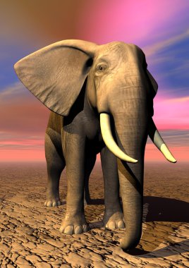 Elephant clipart