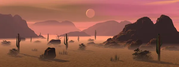 Ранок у пустелі — стокове фото