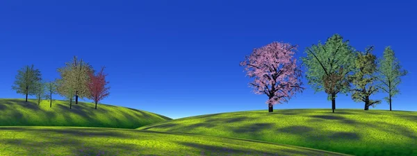 Träd och gräs kullar — Stockfoto