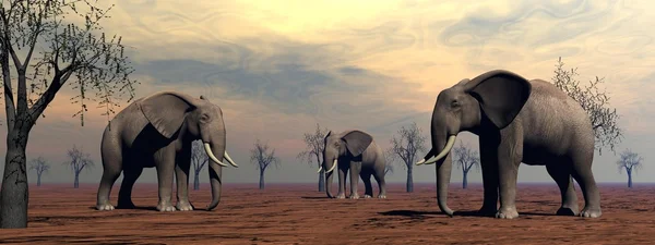 Elefantes en la sabana —  Fotos de Stock