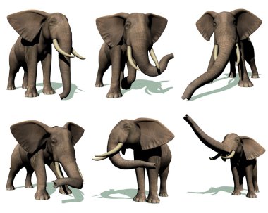 Set of elephants clipart