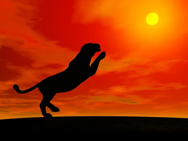 stock image Panther jumping to the sun