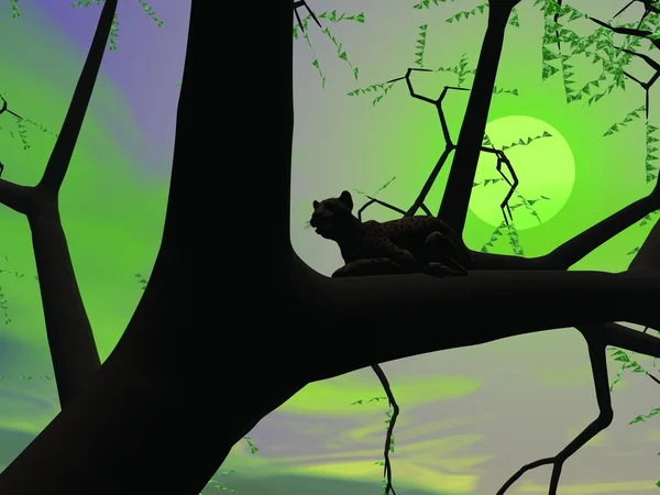 Пантера зеленою ніччю — стокове фото