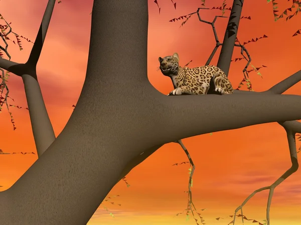 Panther auf einem Baum — Stockfoto