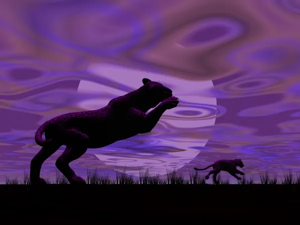 Ночные пантеры — стоковое фото