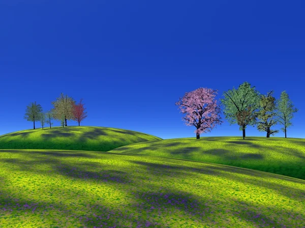 Träd och gräs kullar — Stockfoto