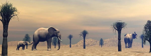 Słonie w sawannie — Zdjęcie stockowe