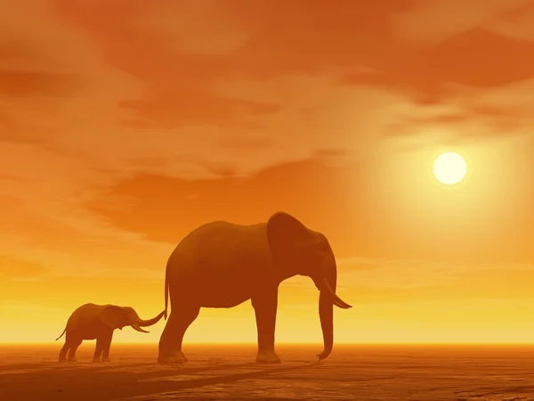 Mamãe e pequeno elefante — Fotografia de Stock