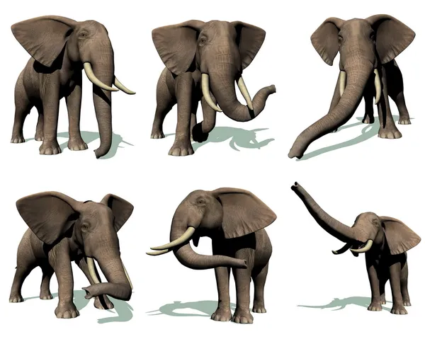 Набор слонов — стоковое фото