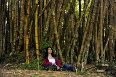 Ecotourism: female hiker relaxing in the shadow of bamboo clipart