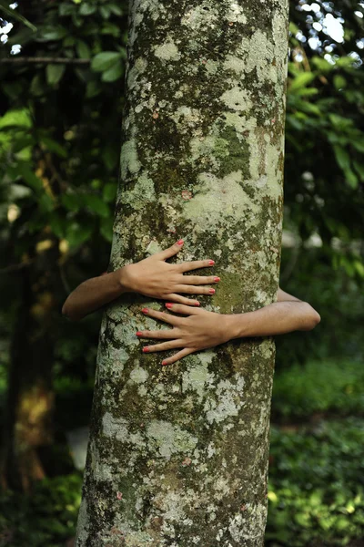 In love with nature: woman hugging a tree in the forest