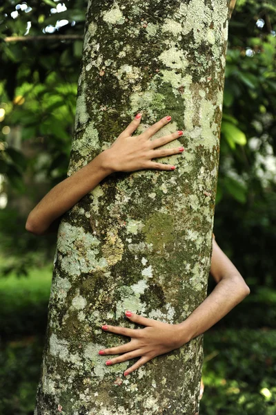 Apaixonada pela natureza: mulher abraçando uma árvore na floresta — Fotografia de Stock