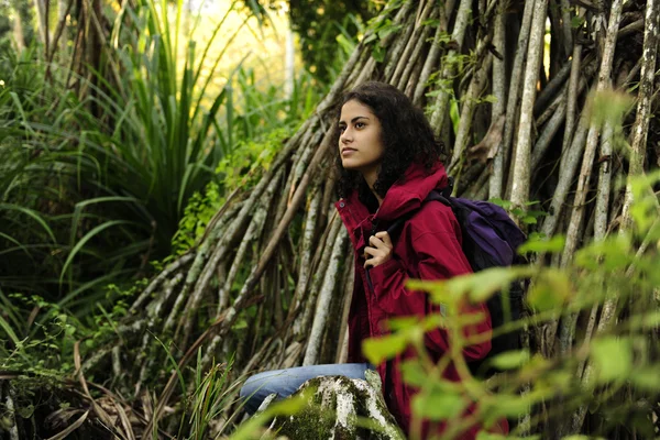生态旅游: 女性的徒步旅行者探索荒野的雨林 — 图库照片