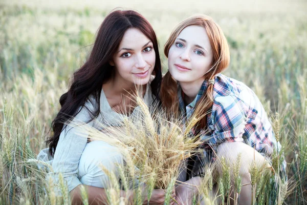 Hermosas damas en un campo — Foto de Stock
