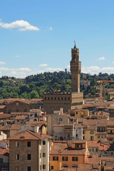 Florence en het palazzo vecchio — Stockfoto