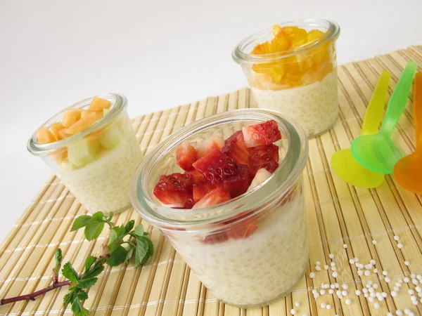 stock image Tapioca pudding with fresh fruits