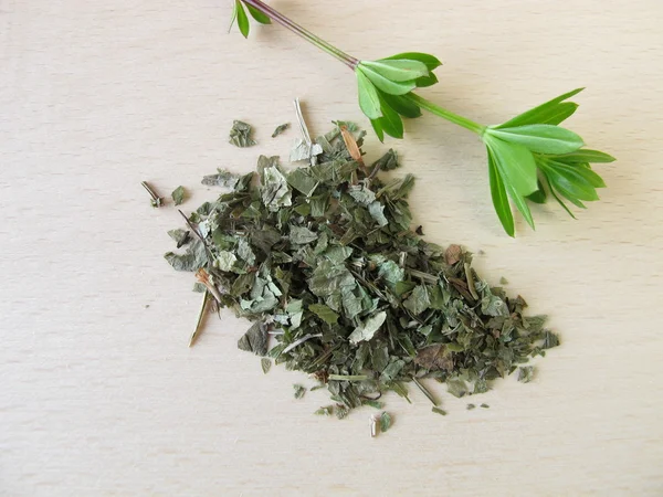 Woodruff, Asperulae herba — Stock Photo, Image