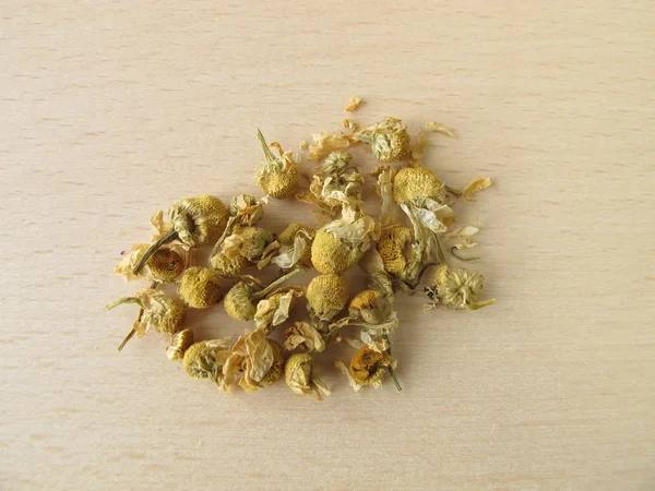 Blüten von Chamomilla recutitia, Matricariae flos — Stockfoto
