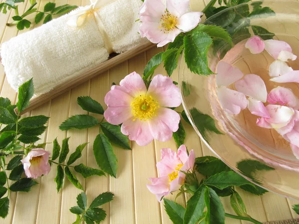 Essência de banho com flores de rosa selvagens — Fotografia de Stock