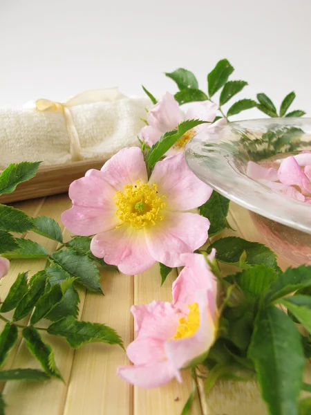Bath essence with wild rose flowers — Stock Photo, Image