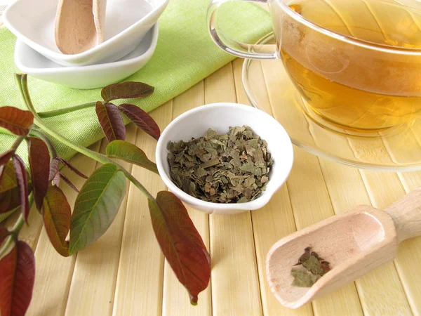 Трав'яний чай з листям горіха — стокове фото