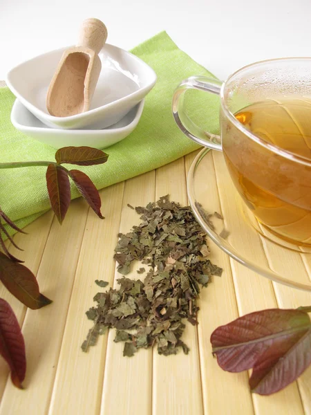 Herbal tea with walnut leaves — Stock Photo, Image