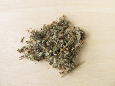 Silverweed, Anserinae herba clipart