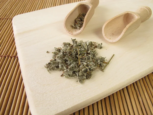 Silverweed, herba anserinae — Foto Stock