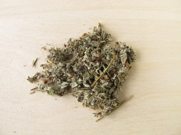 Silverweed, Anserinae herba — Stock Fotó