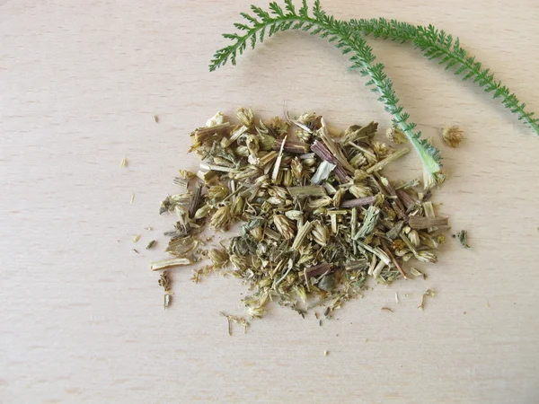 Společné řebříček, millefolii herba — Stock fotografie