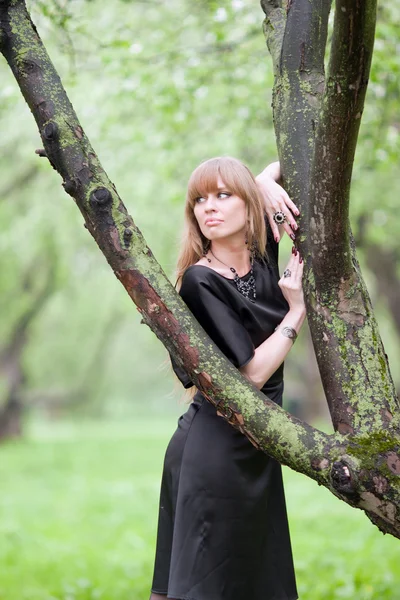 Bir ağaç üzerinde yer alan kadın — Stok fotoğraf