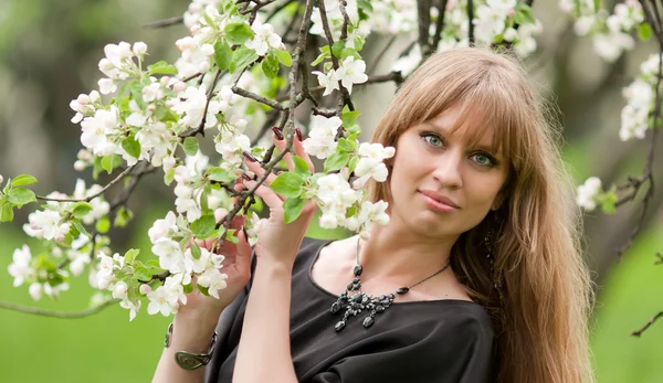 The woman holds a branch of a blossoming apple-tree — Stock Photo, Image
