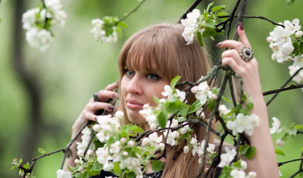 A mulher em ramos de uma macieira florescente — Fotografia de Stock