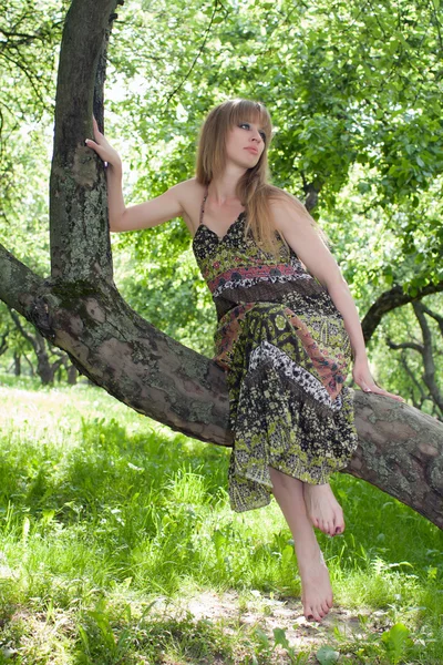 A menina senta-se em uma árvore — Fotografia de Stock