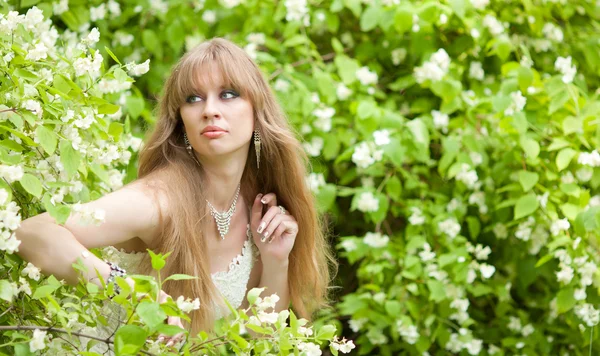 The girl looks out of bushes — Stock Photo, Image