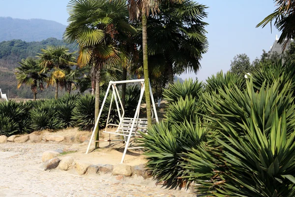 Leagăn sub palmieri — Fotografie, imagine de stoc