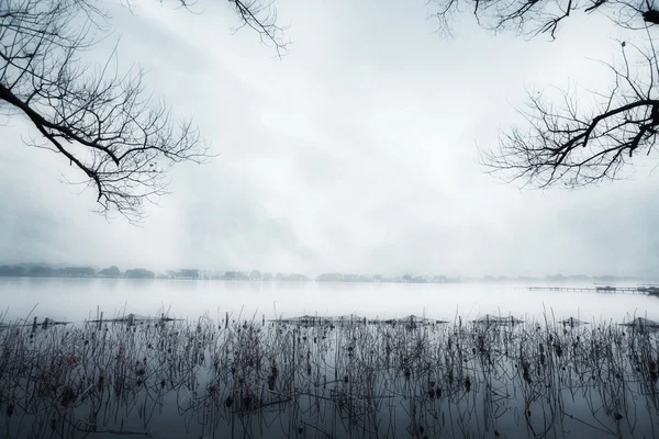 Rivière en hiver — Photo