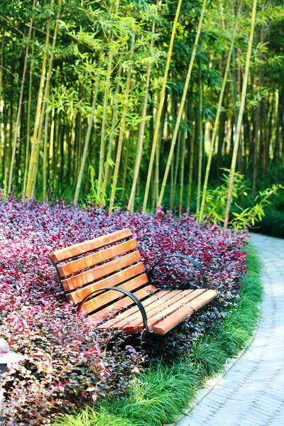 Деревянная скамейка — стоковое фото
