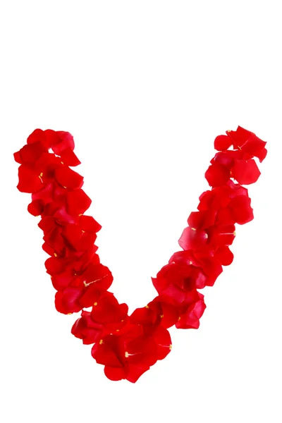 Petali di rosa che formano lettera — Foto Stock